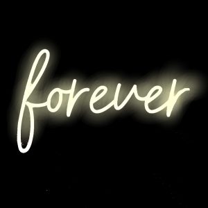 neon sign rental, wedding rental in milwaukee, neon sign for wedding
