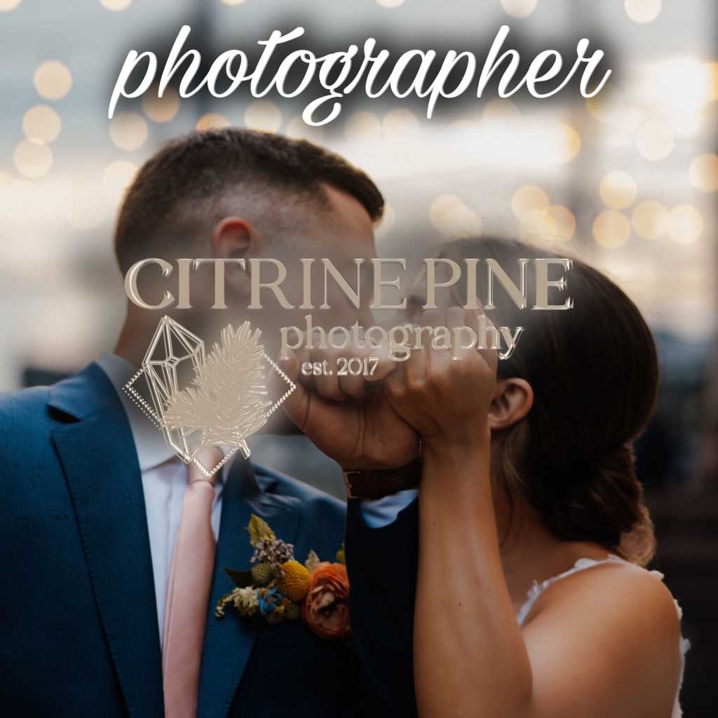 Citrine Pine Photographers in Wisconsin and Illinois