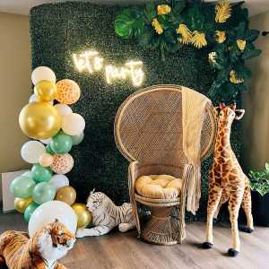 Gender Reveal Party Rentals